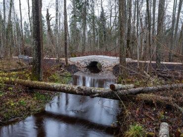 Tiltiņu pārdzimšana Ķemeru parkā